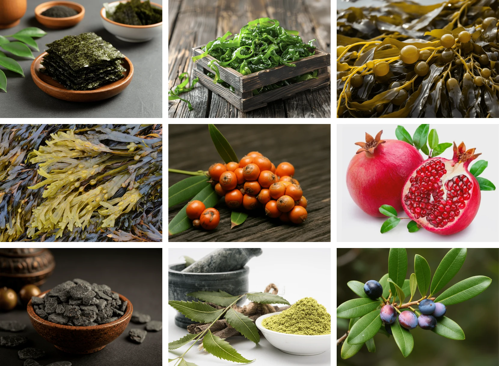 ViriFlow ingredients